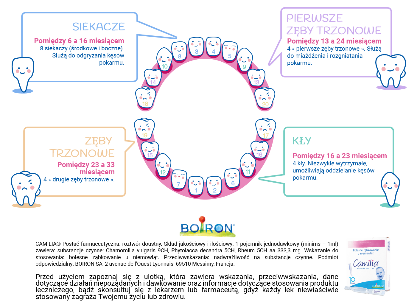 Infographie_dentaire_PL-2.png